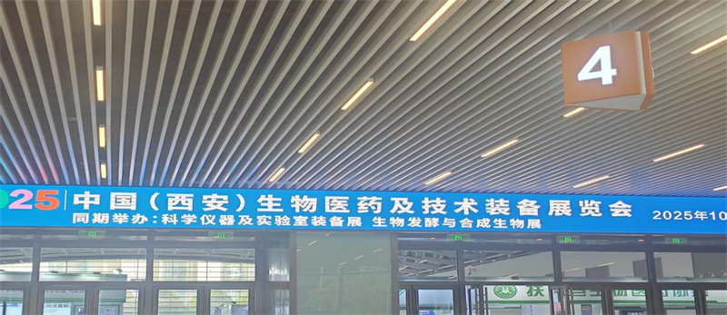 image1.jpg
