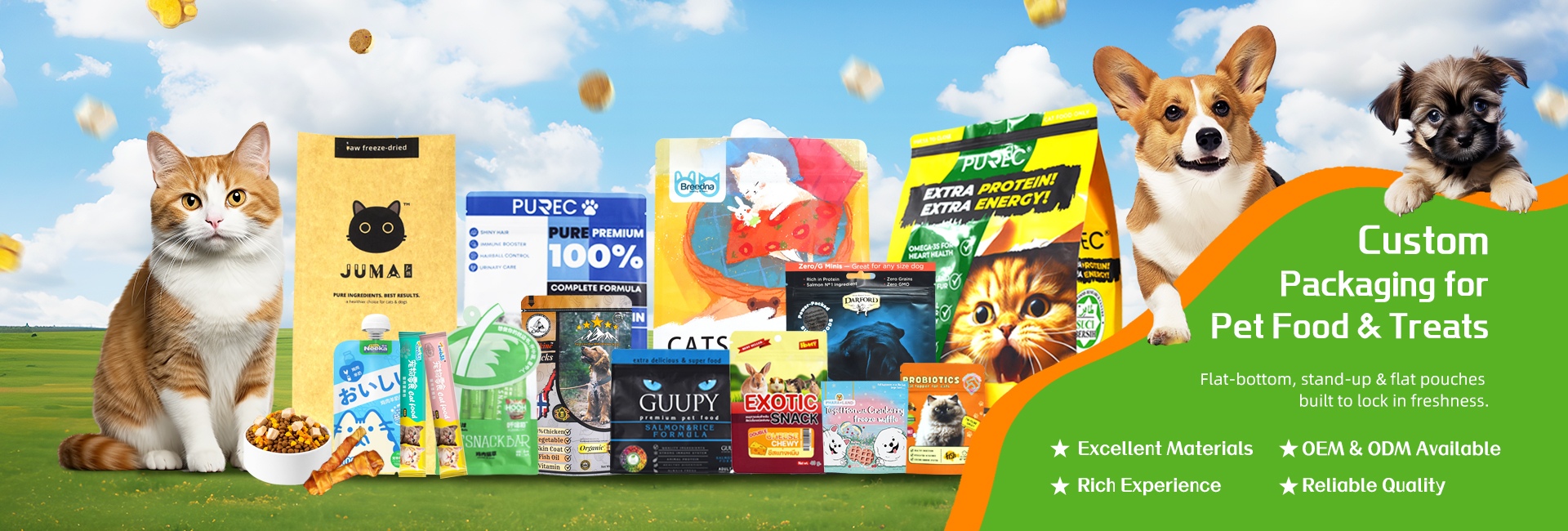 Custom Pet Treat Pouches – Food-Grade, Heat-Sealable & Stand-Up | QD XTD