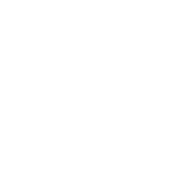 06 Solidité