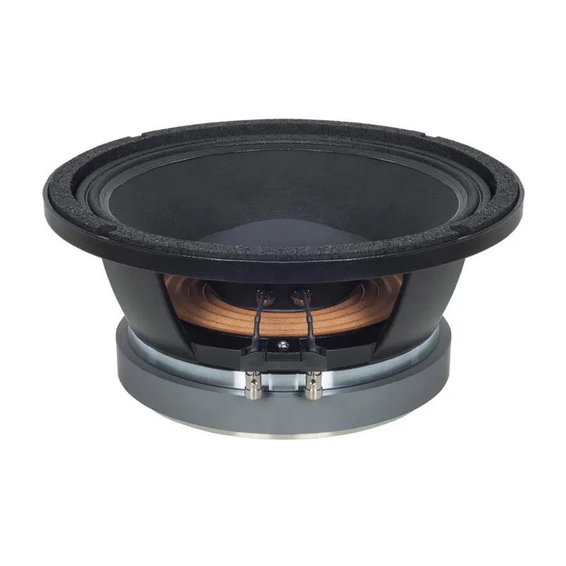 Professional Speaker