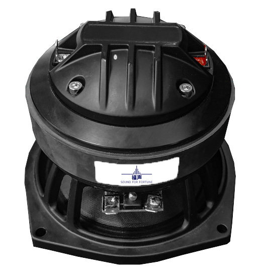 Powerful Subwoofer for Immersive Low-Frequency Audio Experience

