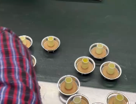 Speaker production line (6)