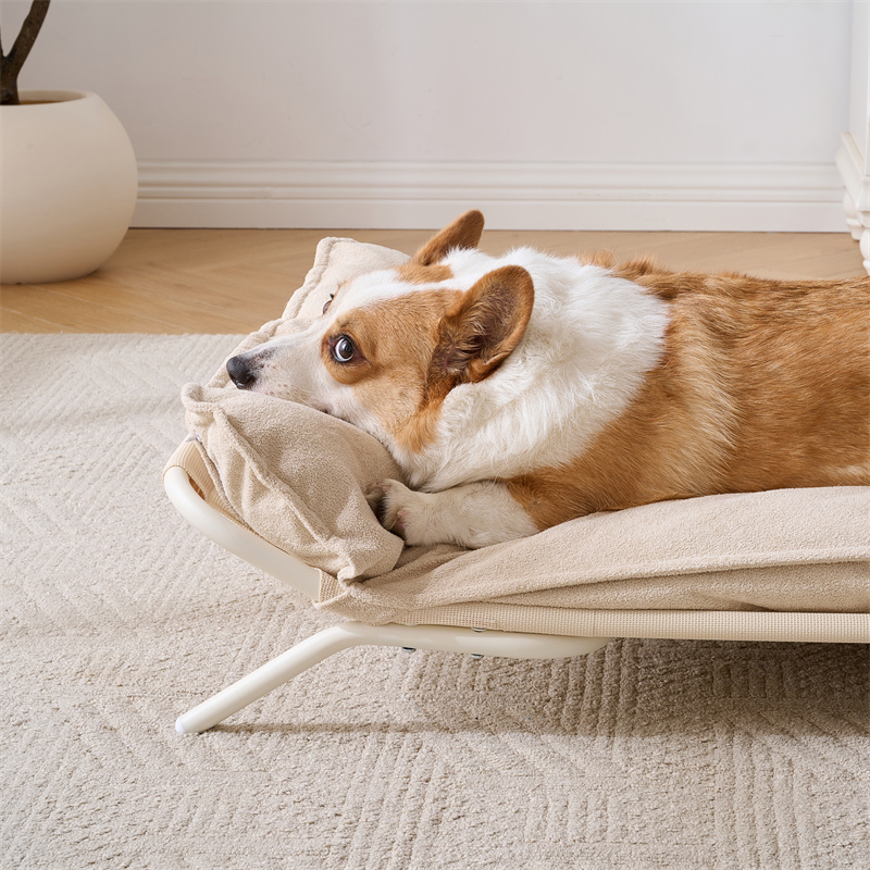 Four Seasons Dog Bed