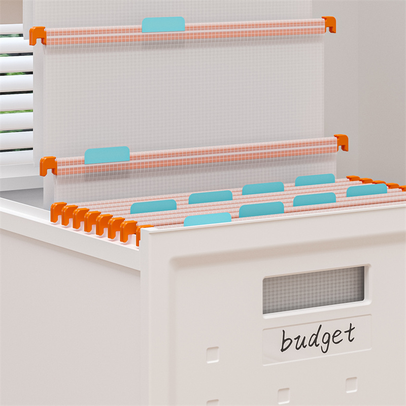 Storage File Box - L Includes 40pcs File Folders 