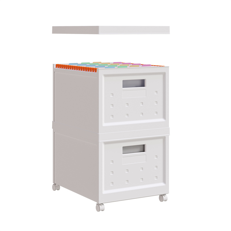 Storage File Box - L Includes 40pcs File Folders 