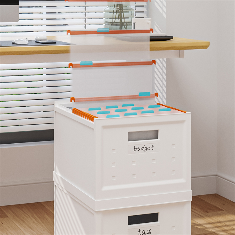 Storage File Box - L Includes 40pcs File Folders 