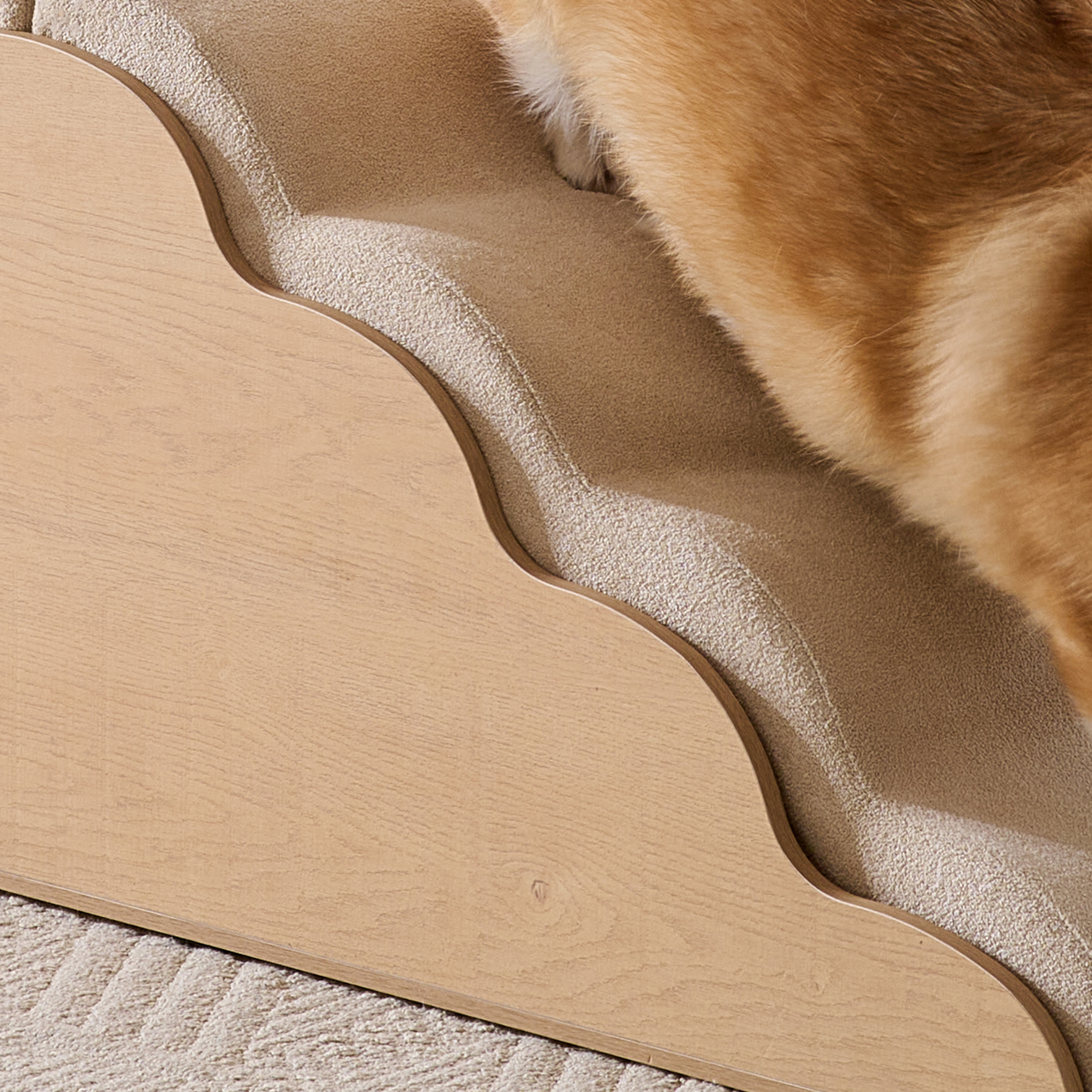 Dog Stairs with Storage Bench