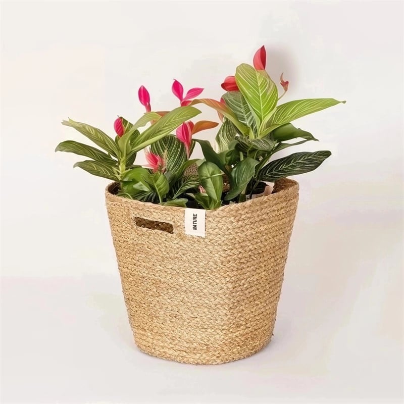 Nature Basket with Handle