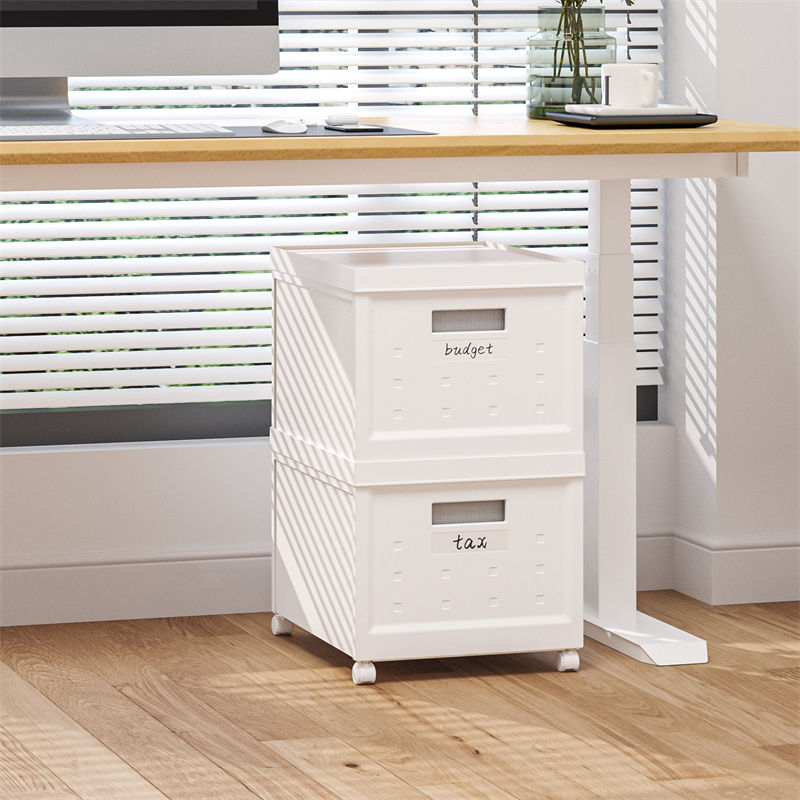 Storage File Box - L Includes 40pcs File Folders 