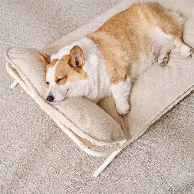 Four Seasons Dog Bed