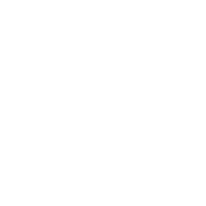 20-Years Expertise