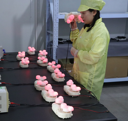 Functional quality inspection