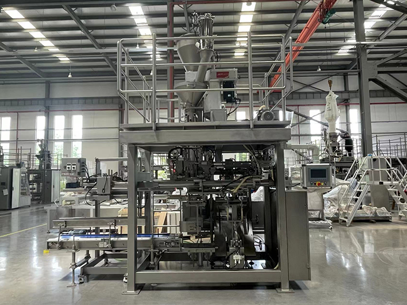 picture-high speed auto bag placer.jpg