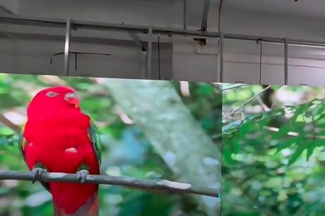 Има седем различни начина за инсталиране на дисплеи с LED