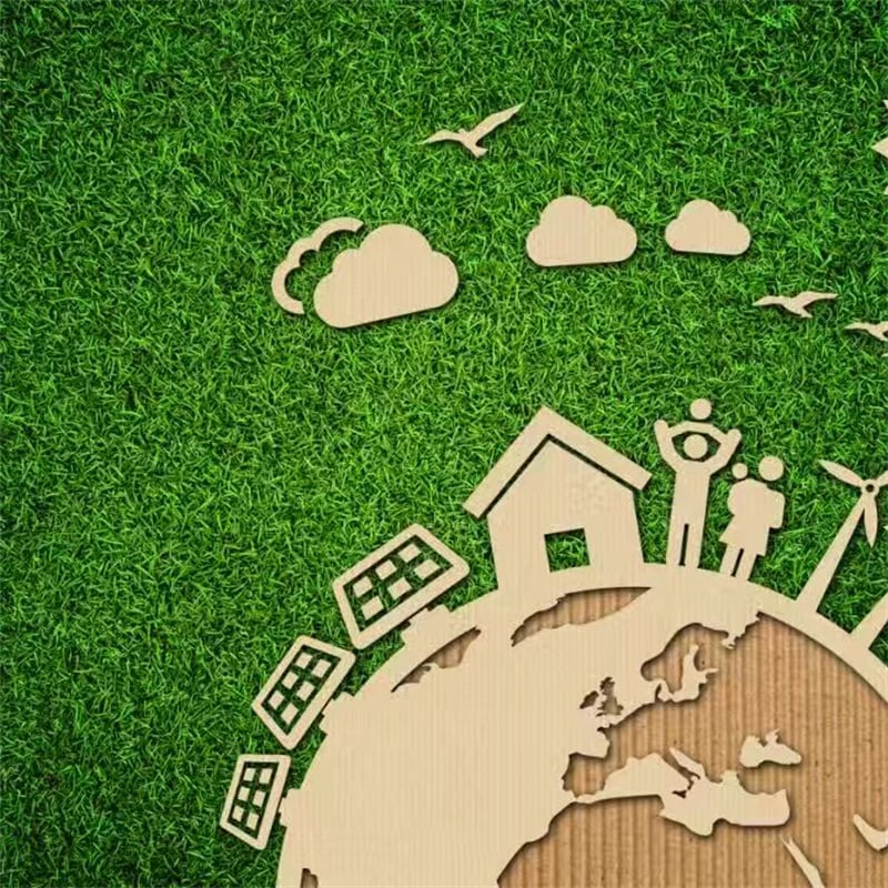 Understanding Carbon Footprints: A Key Step in Corporate Green Transformation