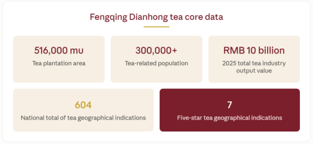 One of Only Seven Nationwide! Fengqing Dianhong Rated Five-Star Geographical Indication Specialty—China Tea Dianhong Empowers Fine Tea with Tech Innovation