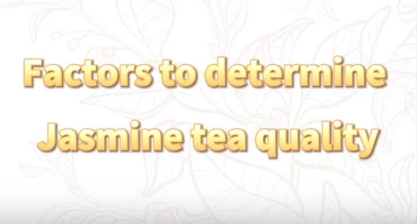 300: Factors to determine jasmine tea quality