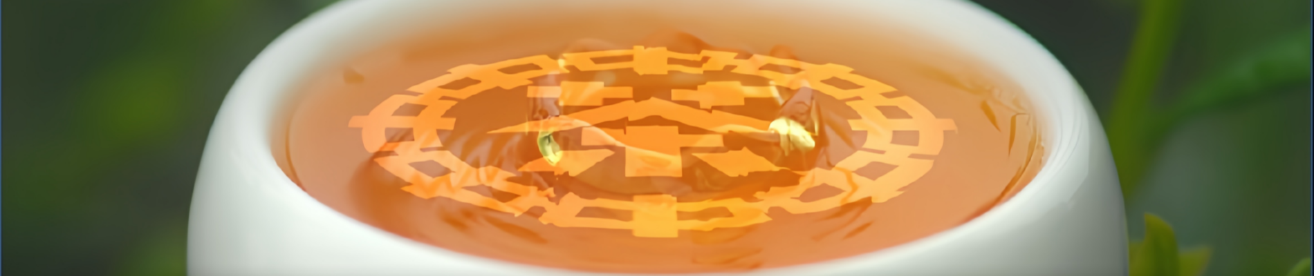 Tea Blog – Explore Tea Insights, Trends Expert Advice