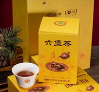 china tea yellow box liupao tea 2026 returns reborn-1