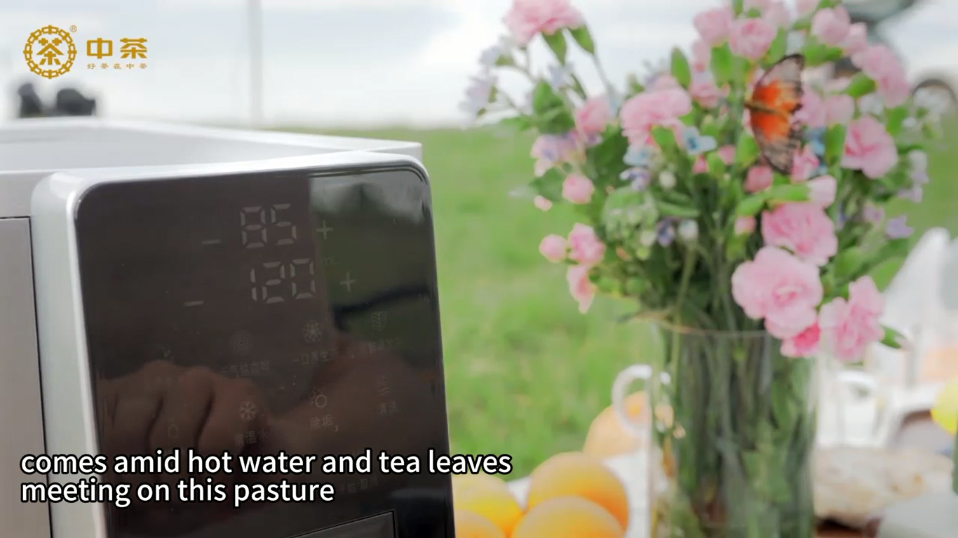 472: China Tea ”Timeless Tea Cabin”Smart Tea Maker