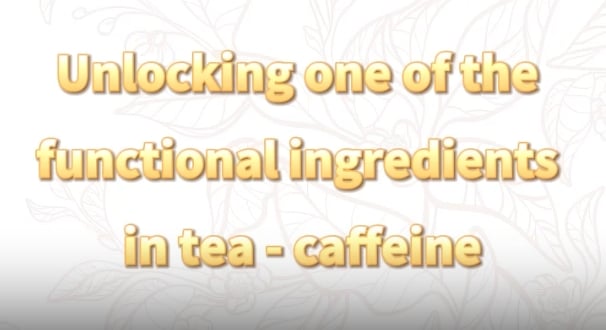301: Unlocking functional caffeine in tea