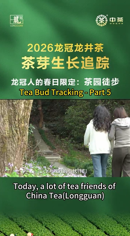 469: Tea Bud Tracking - Part 5