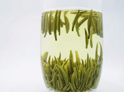 Spring in a Sip! China Tea Green Queshe Makes its Elegant Debut