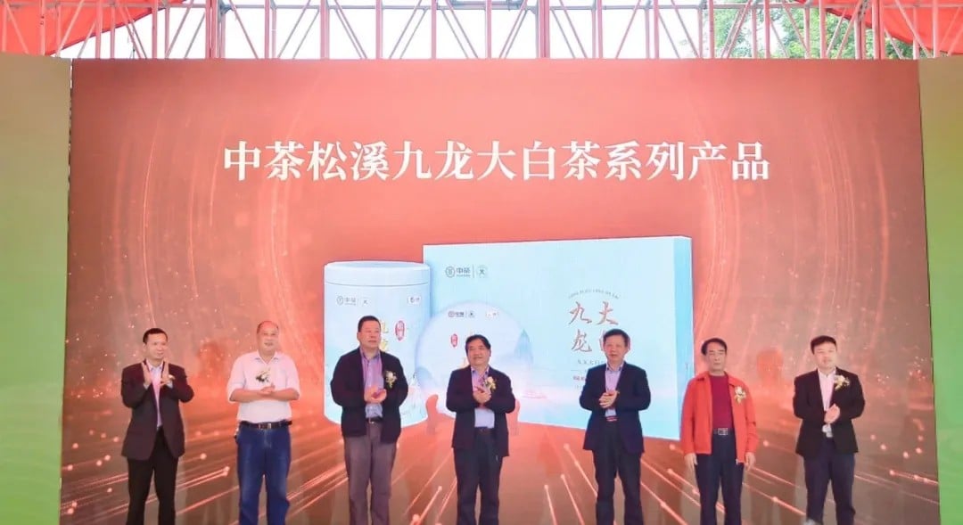 图片 4.jpg