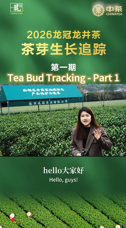 464: Tea Bud Tracking - Part 1