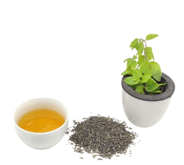 Chunmee Tea: A Popular Chinese Green Tea with Unique Taste