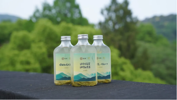 Reflections on “Grain Rain(Gu Yu)”: Three Rituals to Embrace the Spring Tea