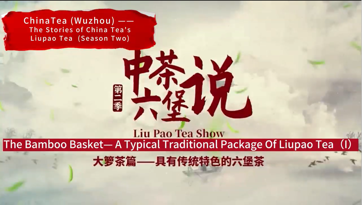 268: Liupao tea Daluo Tea (I)