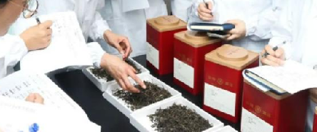China Tea Pu'er Tea Research & Study Institution (Zhengzhou Center): The First Advanced Training Courses Drawing to A Successful Close