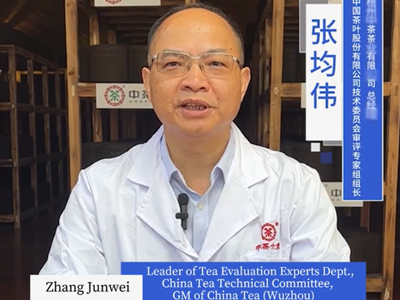 133: Aging of China Tea cellar stored Liupao tea