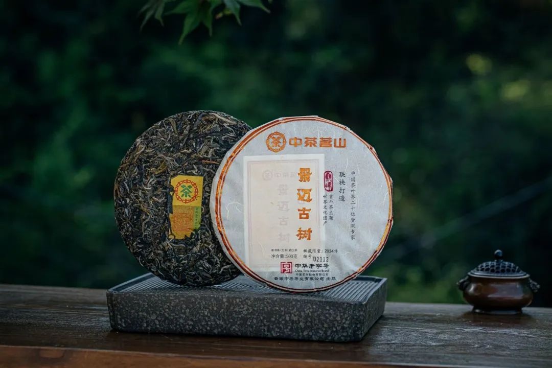 YN12 Jingmai Ancient Tree