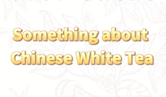215: Several ways to categorize white tea