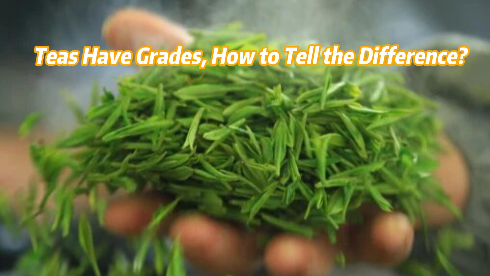 463: Teas Have Grades, How to Tell the Difference?