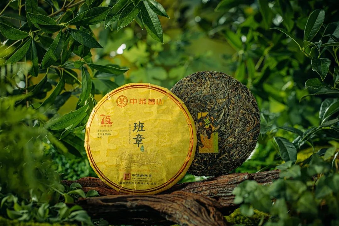 YN13 Banzhang Raw Puerh Tea Cake