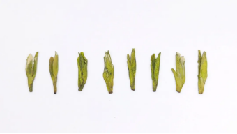 the pinnacle of business gifting golden china tea series green tea is now officially launched-2