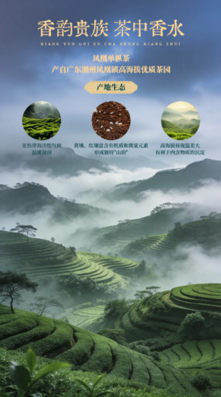 图片 6.png