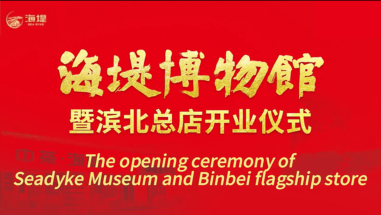 242: Grand opening of Seadyke Museum 