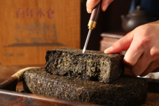 What is Anhua Dark Tea?