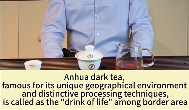 236:The mysterious Anhua Dark Tea