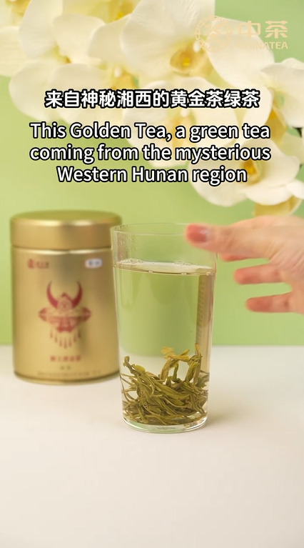 479: Golden Tea Green Tea by China Tea(Hunan)