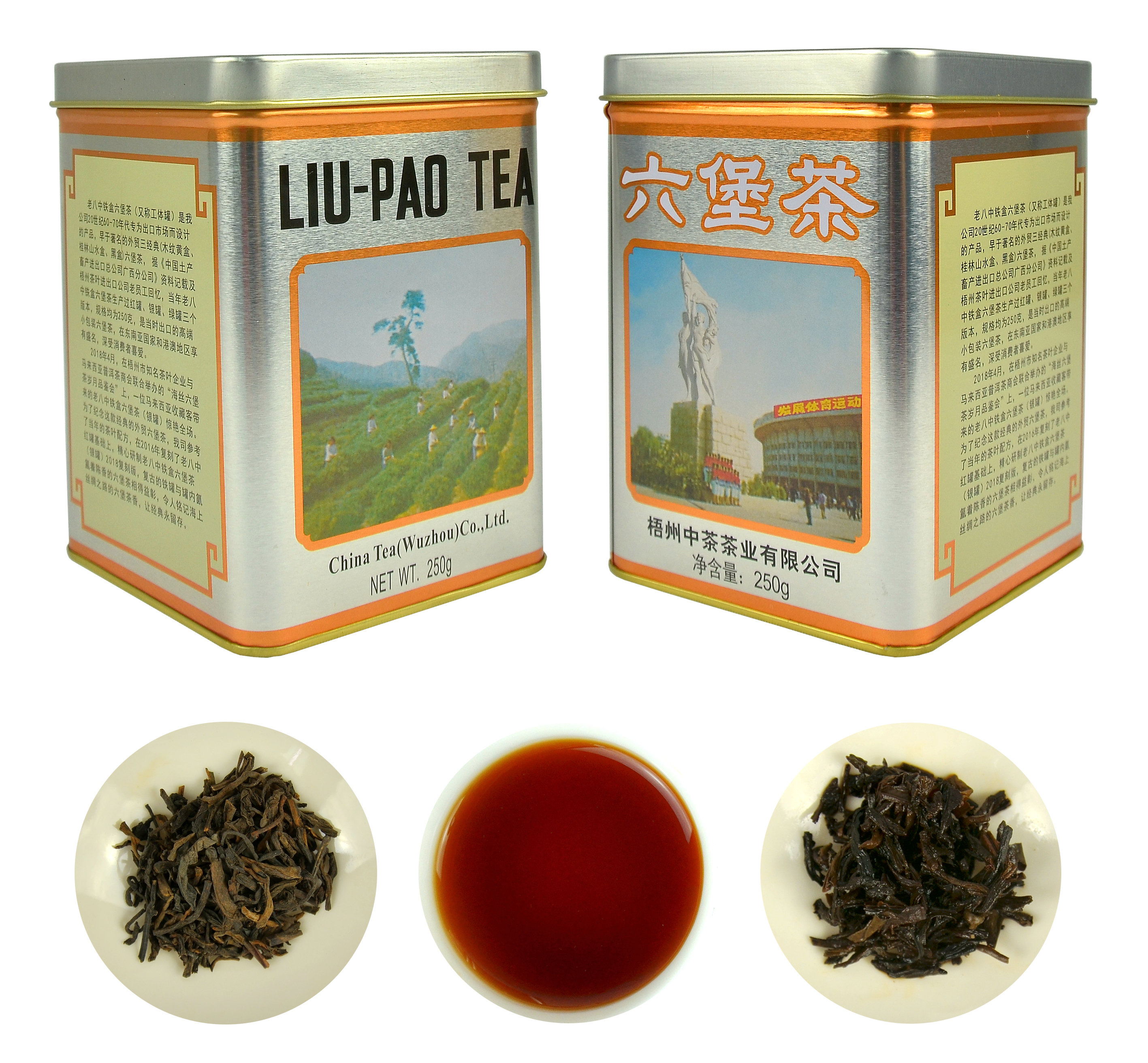 GX18 Gymnasium Series Liupao Tea