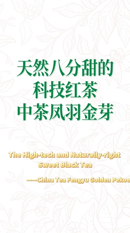 195:Naturally high sweet Fengyujinya Black Tea empowered with High-Tech