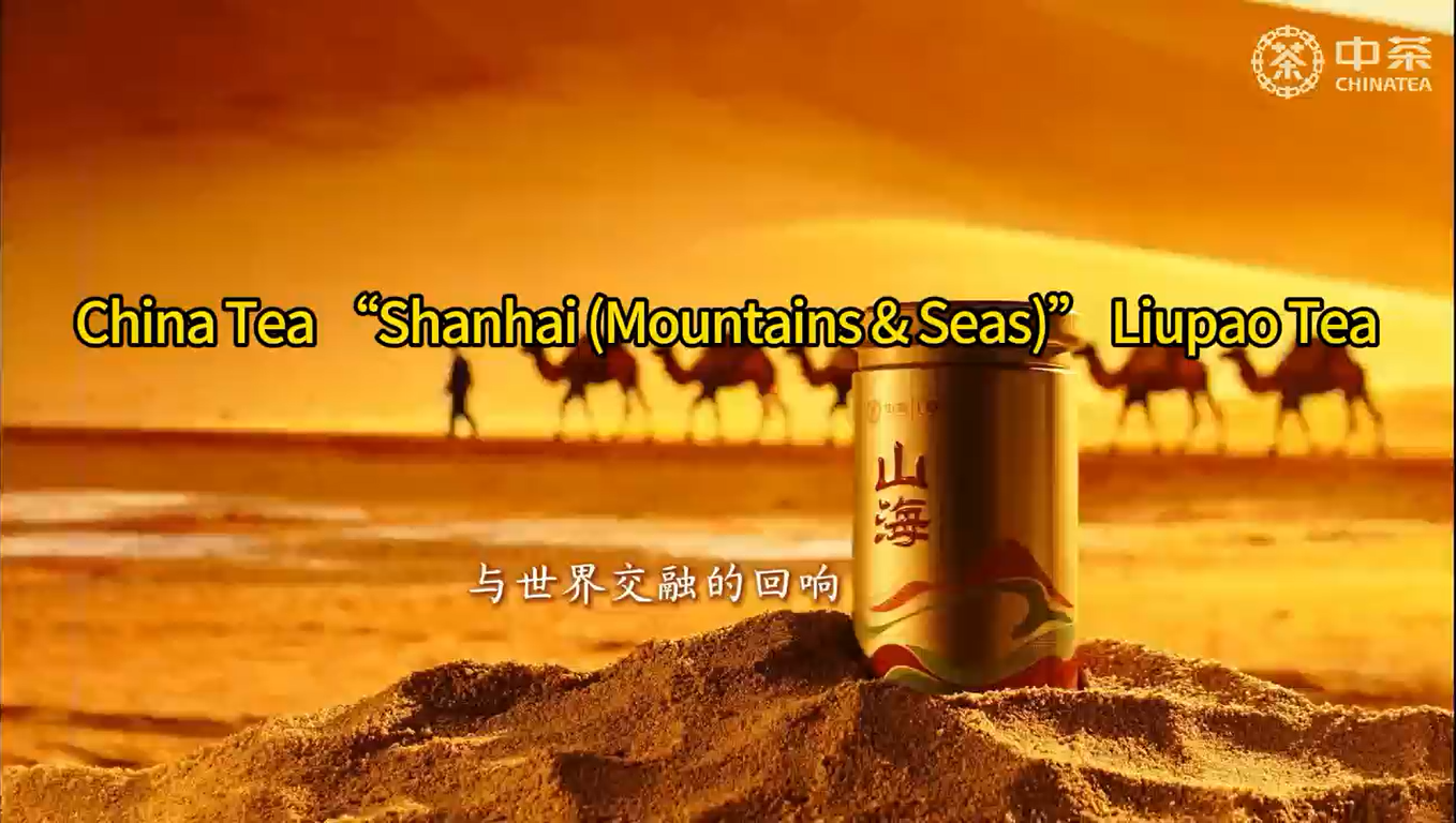 429:China Tea “Shanhai (Mountains & Seas)” Liupao Tea