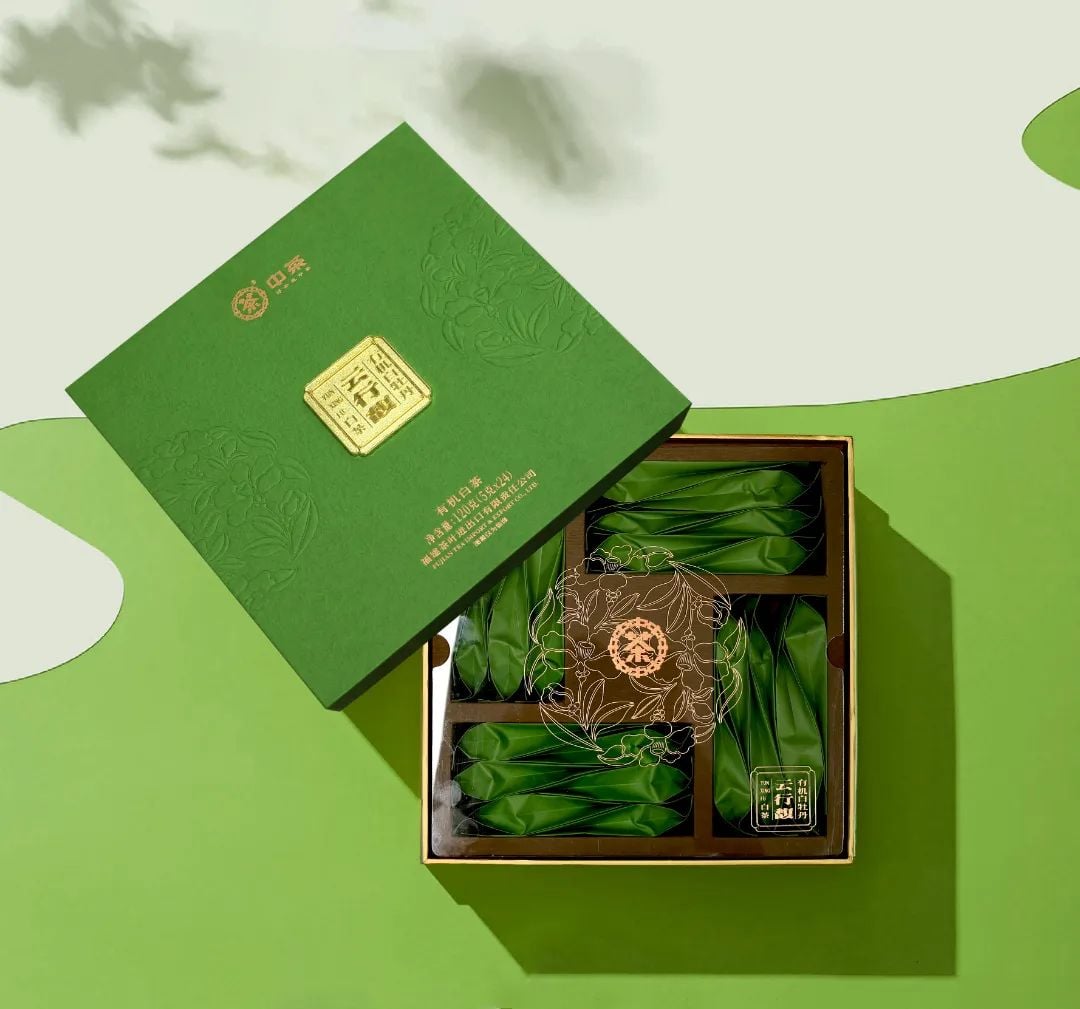 FC64 Chinese Fujian Pai Mu Tan white tea OWT5193