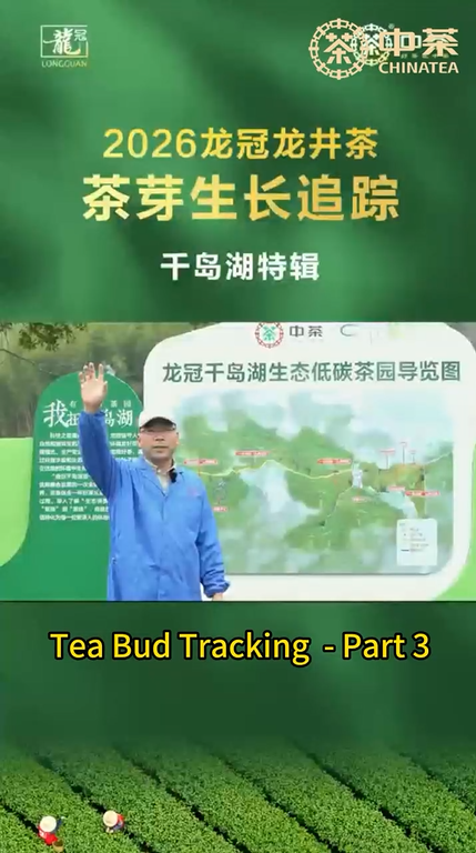 466: Tea Bud Tracking - Part 3