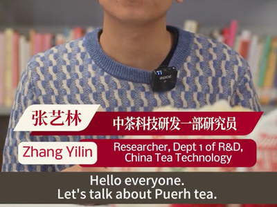 177:Yunnan Puerh tea cake (I)-The Tea Moutains